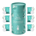 Eucalyptus Shower Steamers - Giftbox 6 Pack