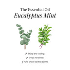 Eucalyptus Shower Steamers - Giftbox 6 Pack