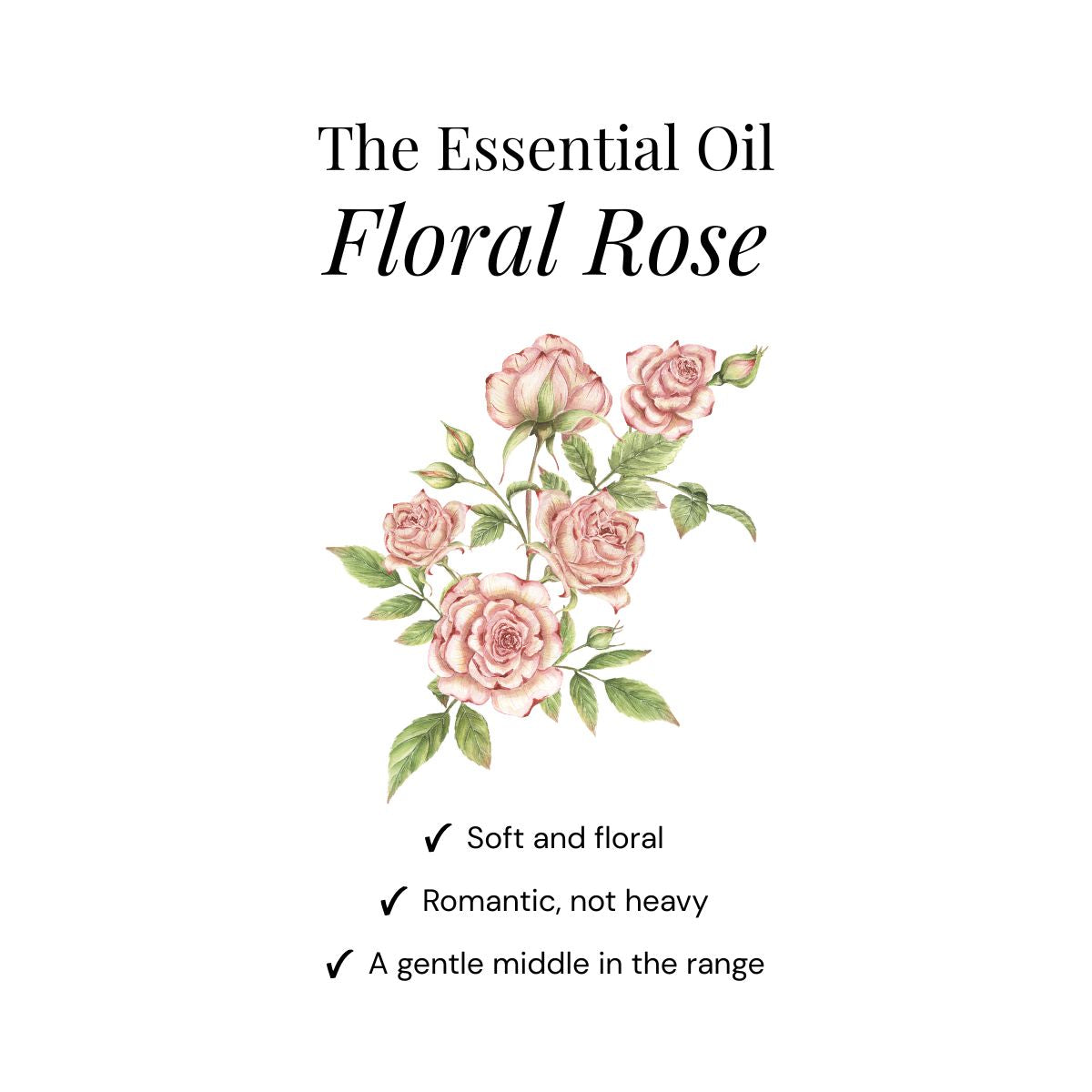 Pastilles de douche parfum rose florale - lot de 15