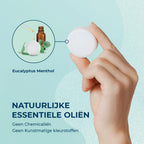 Eucalyptus Shower Steamers - Giftbox 6 Pack